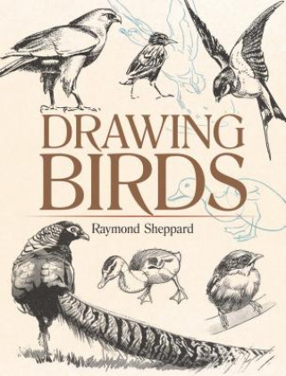 Książka Drawing Birds Raymond Sheppard