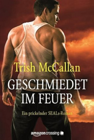 Kniha Geschmiedet im Feuer Trish McCallan
