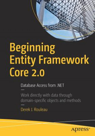 Kniha Beginning Entity Framework Core 2.0 Derek J. Rouleau