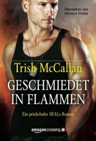Kniha Geschmiedet in Flammen Trish McCallan