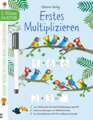 Book Mein Wisch-und-weg-Lernspaß: Erstes Multiplizieren (2. Klasse) Holly Bathie