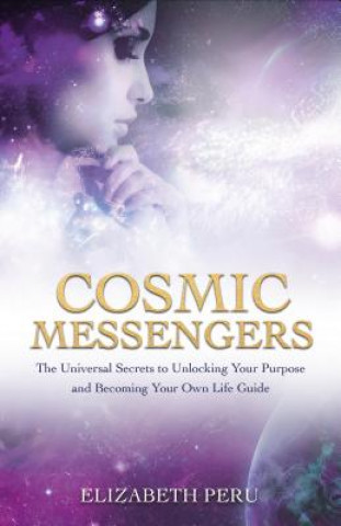 Книга Cosmic Messengers Elizabeth Peru