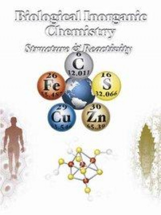 Kniha Biological Inorganic Chemistry Ivano Bertini