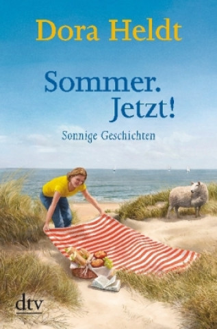 Knjiga Sommer. Jetzt! Dora Heldt