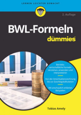 Kniha BWL-Formeln fur Dummies Tobias Amely