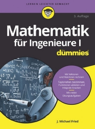 Kniha Mathematik fur Ingenieure I fur Dummies J. Michael Fried