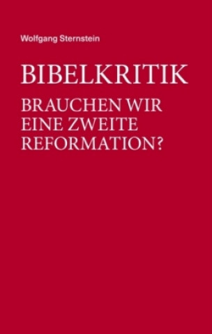 Βιβλίο Bibelkritik Wolfgang Sternstein