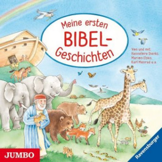 Audio Meine ersten Bibel-Geschichten Hannelore Dierks
