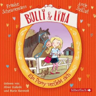 Audio Bulli & Lina 1: Ein Pony verliebt sich Frauke Scheunemann