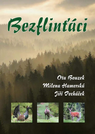 Book Bezflinťáci Ota Bouzek