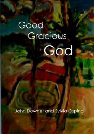 Książka Good Gracious God JOHN DOWNER