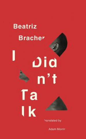 Knjiga I Didn't Talk Beatriz Bracher