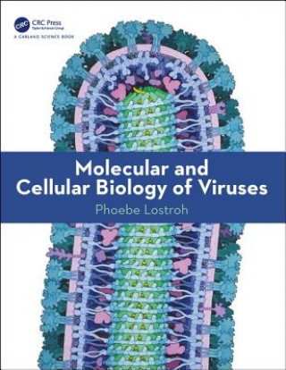 Kniha Molecular and Cellular Biology of Viruses LOSTROH