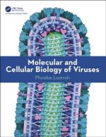 Könyv Molecular and Cellular Biology of Viruses LOSTROH