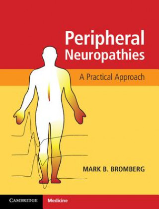 Kniha Peripheral Neuropathies Mark (University of Utah) Bromberg