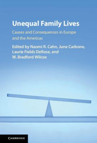 Livre Unequal Family Lives EDITED BY NAOMI R. C