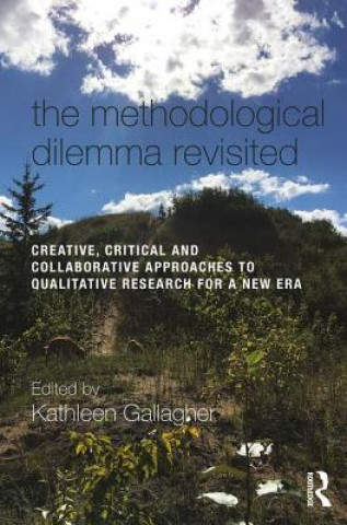 Könyv Methodological Dilemma Revisited 