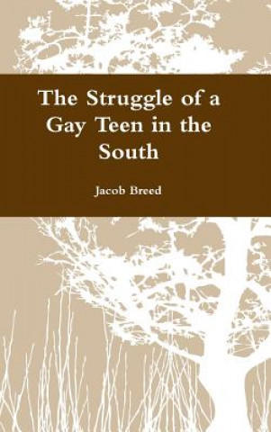 Kniha Struggle of a Gay Teen in the South JACOB BREED