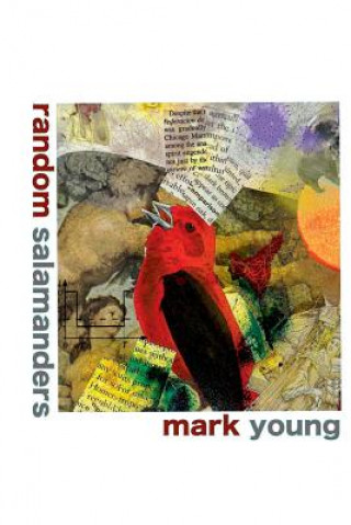 Carte random salamanders MARK YOUNG