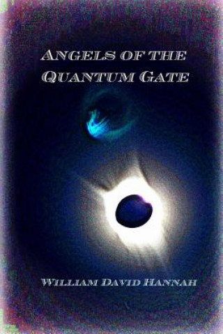 Kniha Angels of the Quantum Gate WILLIAM DAVI HANNAH