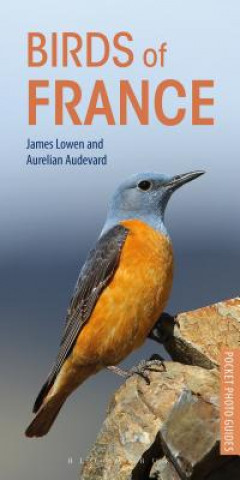 Книга Birds of France James Lowen