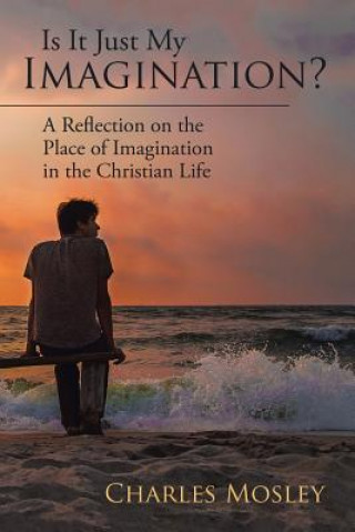 Книга Is It Just My Imagination? CHARLES MOSLEY