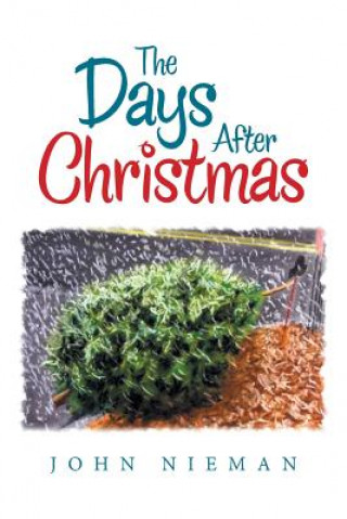 Kniha Days After Christmas JOHN NIEMAN