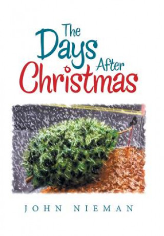 Kniha Days After Christmas JOHN NIEMAN