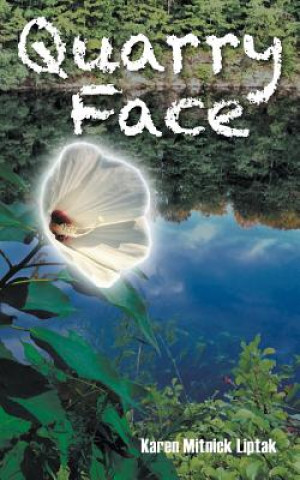 Buch Quarry Face KAREN MITNIC LIPTAK