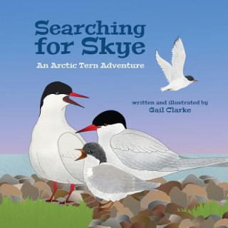 Knjiga Searching For Skye Gail Clarke