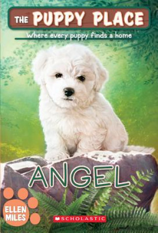 Kniha Angel Ellen Miles