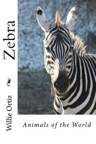 Könyv Zebra: Animals of the World MR Willie Ortiz