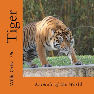 Książka Tiger: Animals of the World MR Willie Ortiz