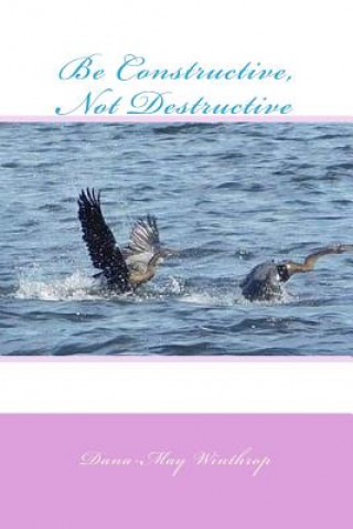 Knjiga Be Constructive, Not Destructive Dana-May Winthrop