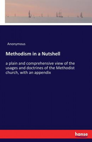 Knjiga Methodism in a Nutshell Anonymous