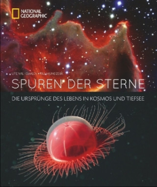 Kniha Spuren der Sterne Ute Wilhelmsen