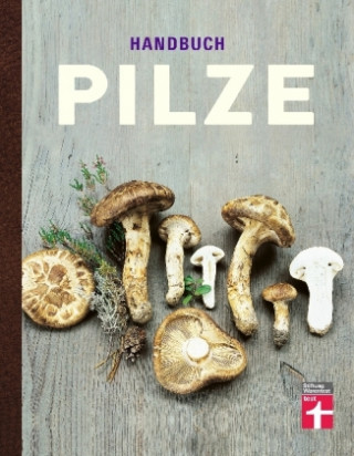 Kniha Handbuch Pilze Pelle Holmberg
