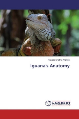Книга Iguana's Anatomy Rozana Cristina Arantes