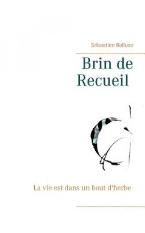 Könyv Brin de Recueil Sebastien Belluso
