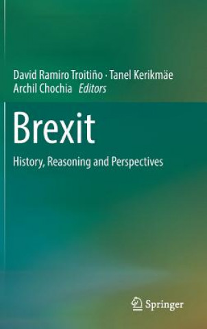 Könyv Brexit David Ramiro Troiti?o