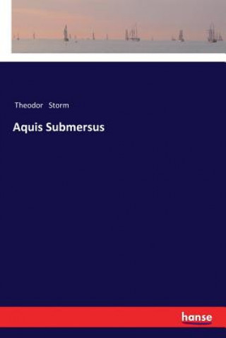 Книга Aquis Submersus Theodor Storm