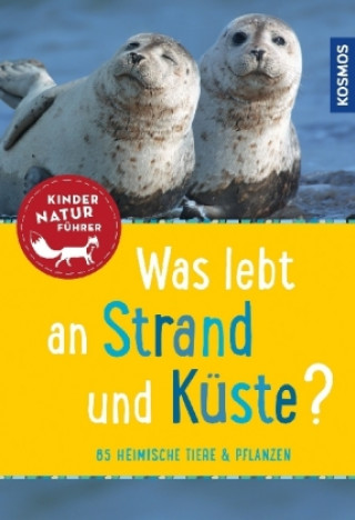 Kniha Was lebt an Strand und Küste? Kindernaturführer Holger Haag