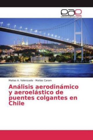 Carte Análisis aerodinámico y aeroelástico de puentes colgantes en Chile Matías A. Valenzuela