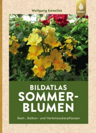 Knjiga Bildatlas Sommerblumen Wolfgang Kawollek