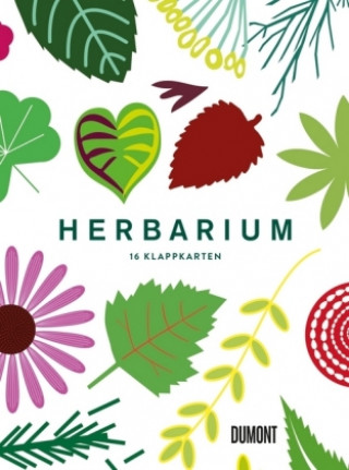 Könyv Herbarium, 16 Klappkarten Caz Hildebrand