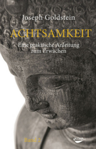 Kniha Achtsamkeit Bd. 2 Joseph Goldstein