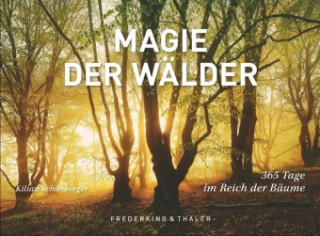 Kniha Magie der Wälder, Tischaufsteller Kilian Schönberger