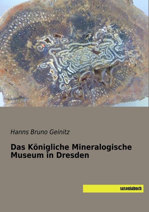 Könyv Das Königliche Mineralogische Museum in Dresden Hanns Bruno Geinitz