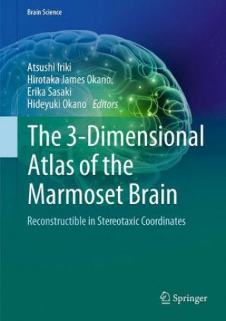 Książka 3-Dimensional Atlas of the Marmoset Brain Atsushi Iriki