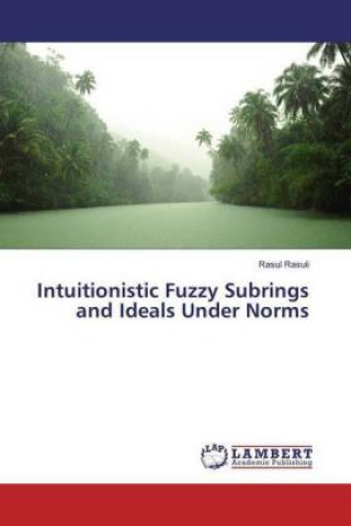 Könyv Intuitionistic Fuzzy Subrings and Ideals Under Norms Rasul Rasuli